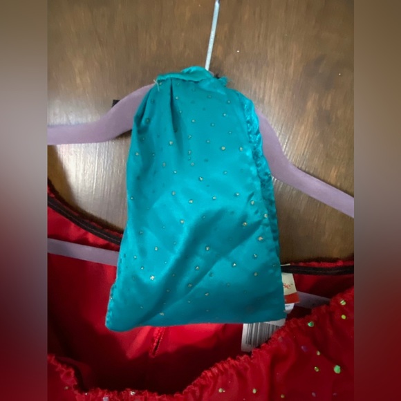 Women’s Gypsy Costume - Picture 8 of 8